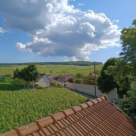 Gite Independant Diz'Enreves Au Coeur Des Vignes Dizy Ngoại thất bức ảnh